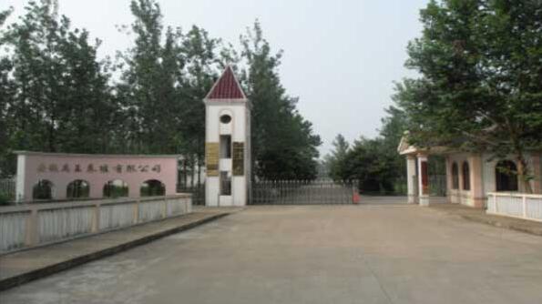 1626056541177329.jpg 01.jpg